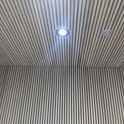 Lvr Museum Bonn (11)