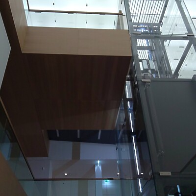 Lvr Museum Bonn (29)