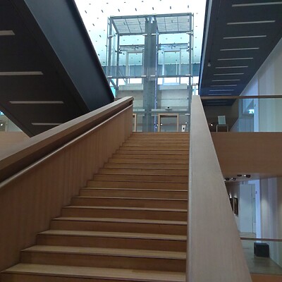 Lvr Museum Bonn (31)