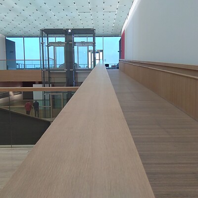 Lvr Museum Bonn (34)