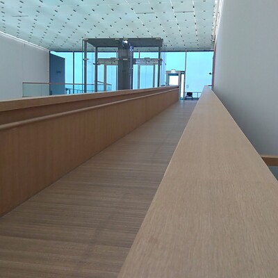 Lvr Museum Bonn (35)